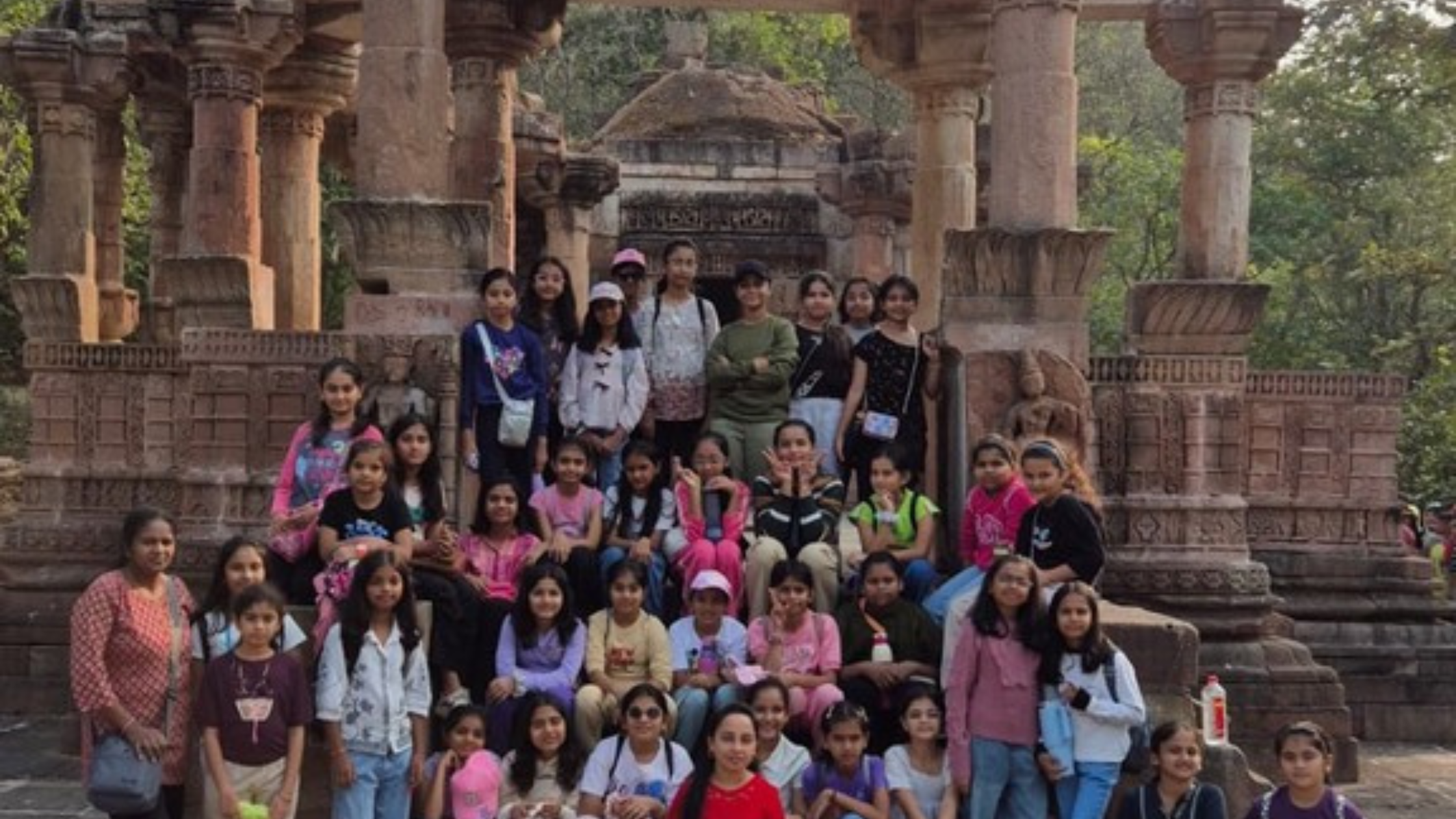 Polo Forest Std 5